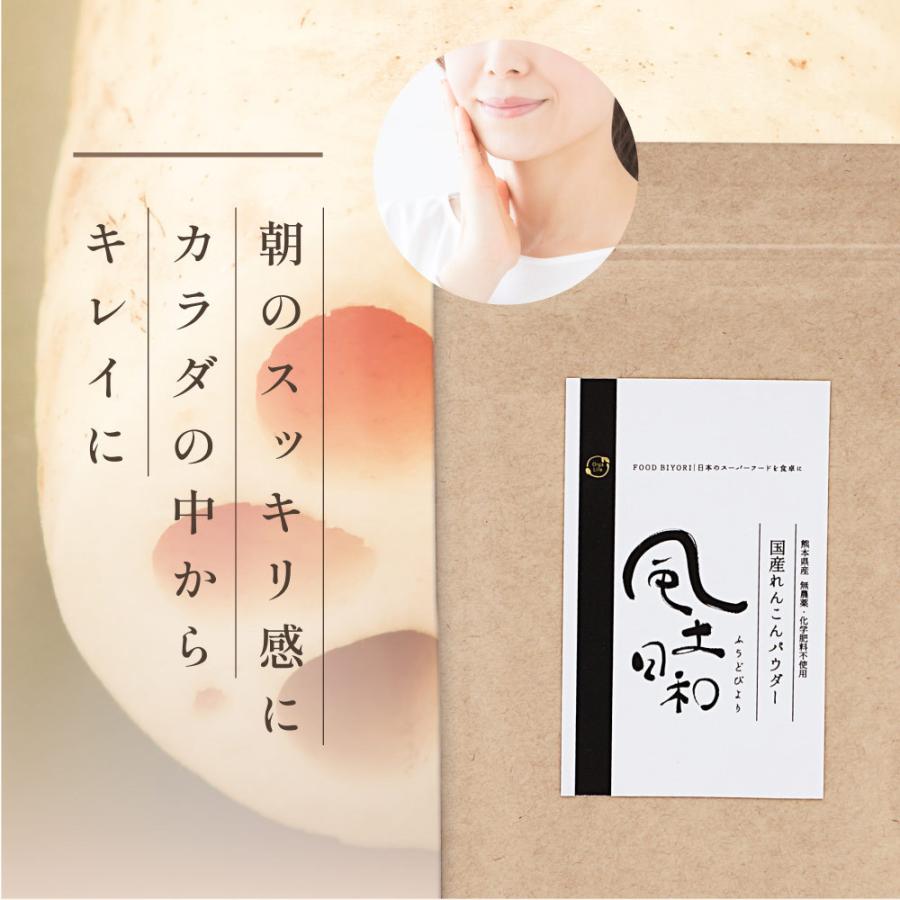 れんこんパウダー 風土日和 210g（70gx3袋） 国産 無農薬 粉末 離乳食 食物繊維 レンコン パウダー ヨーグルト 熊本県産 蓮根粉 料理