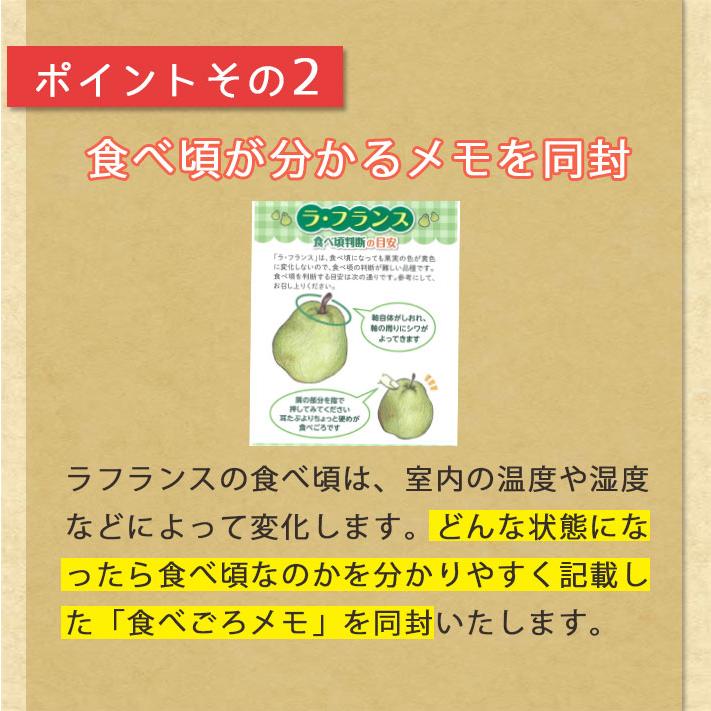 フルーツ 山形のラフランス と 富士りんご 3kg 詰め合わせセット 11月下旬からの発送予定