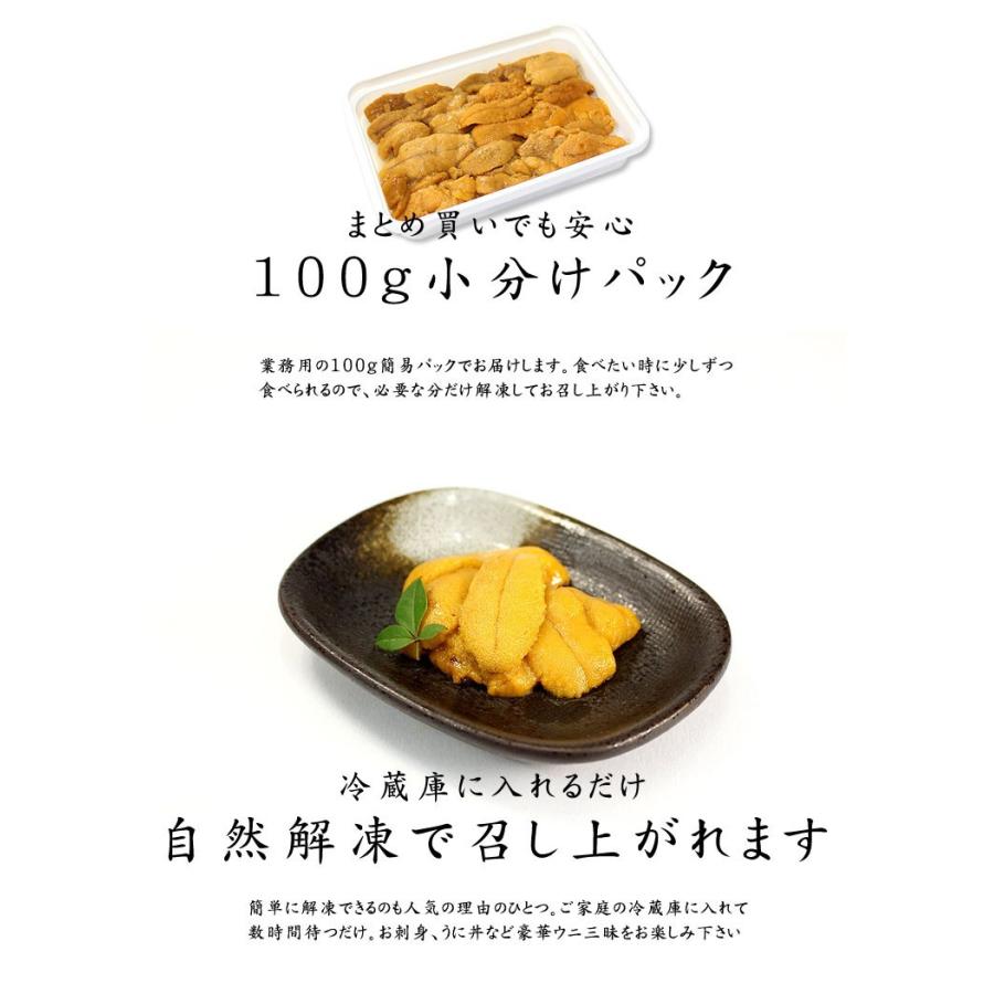 生ウニ200g（100g×2パック）無添加 送料無料 刺身 海鮮丼 食べ物《ref-un2》yd5[[生ウニ100-2p]