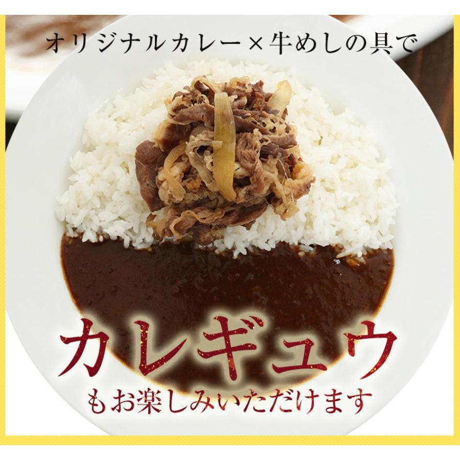 (メーカー希望小売価格9750円→4890円) 牛丼 牛丼の具 松屋 全部盛りグルメ20個グルメ（プレミアム仕様牛めし10個、豚めし5個、カレー5個） 牛丼 松屋 辛口