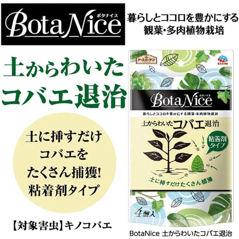 まとめ売りアースガーデン 園芸用コバエ捕獲器 BotaNice 土からわいたコバエ退治 粘着タイプ 入