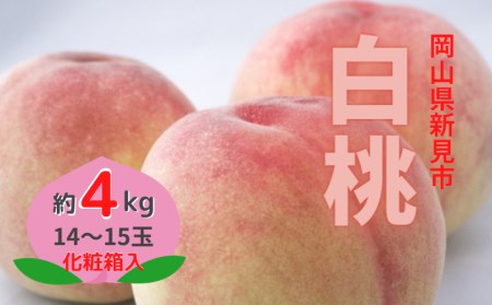 新見の白桃 約4kg 14～15玉 贈答にも