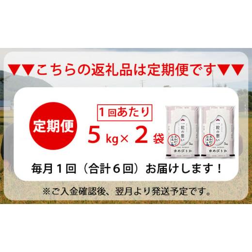 ふるさと納税 北海道 共和町 令和5年産  定期便 6ヵ月連続お届け ゆめぴりか 10kg 精米 北海道 共和町