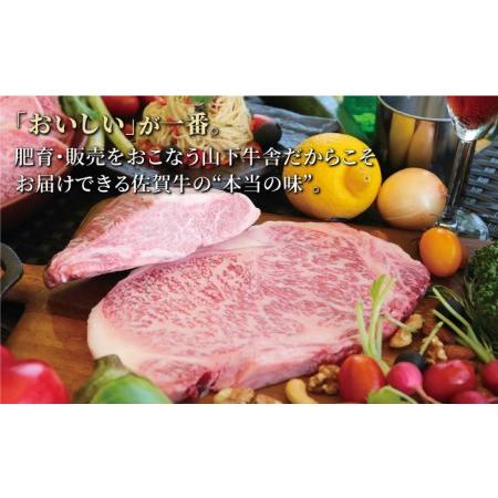 ふるさと納税 佐賀牛 サーロイン ステーキ 600g（300g×2枚）黒毛和牛 牛肉 ロース 霜降り 定期便 [HAD068] 佐賀県江北町