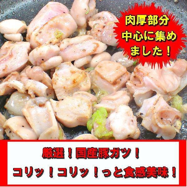 コリコリ塩ホルモン　400ｇ　肉の日　焼肉　ホルモン　B級グルメ お花見にも！