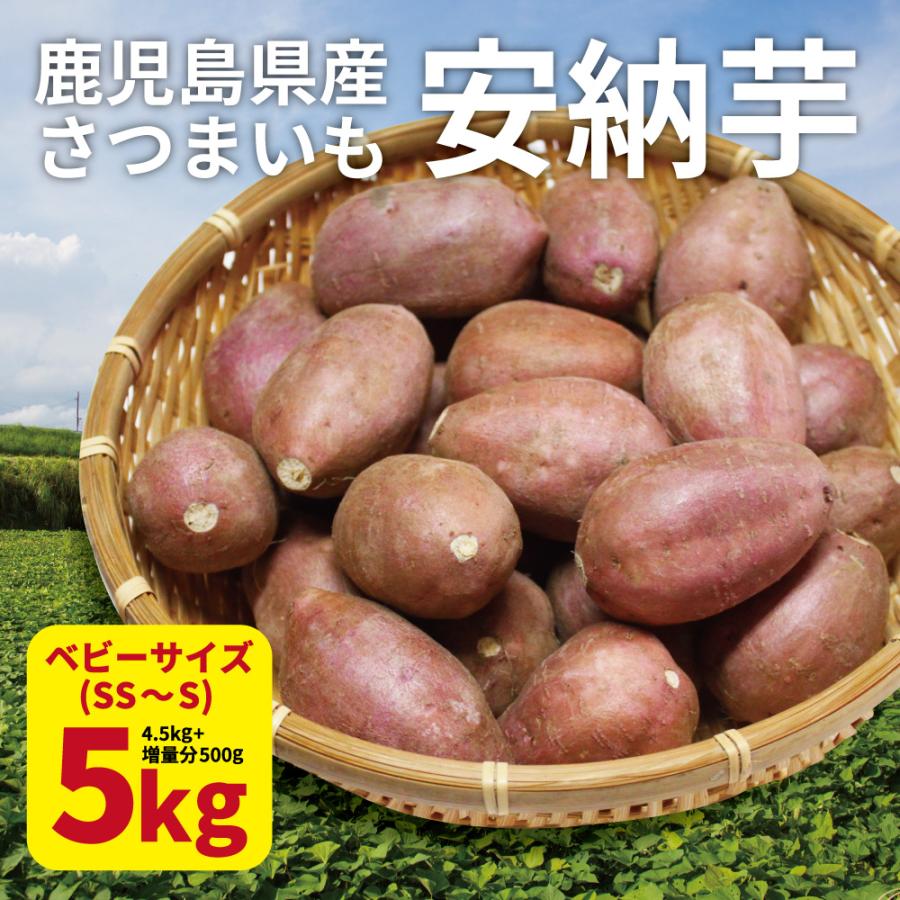 安納芋 ベビーサイズ 5kg (4.5kg 保証分500g) 土付き 生芋 (130g以下のSS〜Sサイズ) 鹿児島県産 さつまいも 2023年産