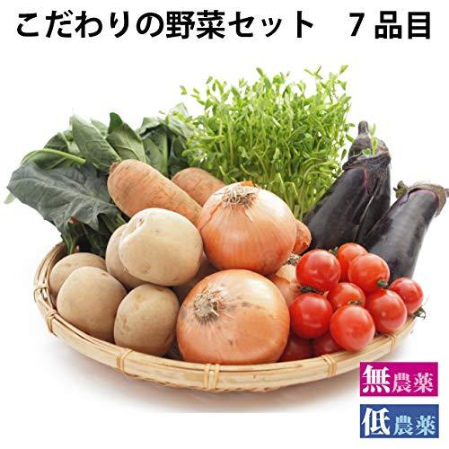 旬の無農薬・低農薬の野菜　7品目こだわり野菜セット　少人数・お試し向け