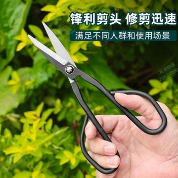 免運費⭐老式手工修枝剪蘭花剪全園藝剪葉芽剪嫩芽剪插花盆景枝葉剪小枝剪