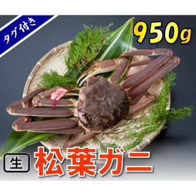 ふるさと納税 鳥取市 タグ付き生松葉ガニ(特大950g)