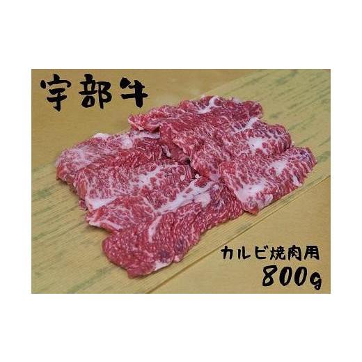 ふるさと納税 山口県 宇部市  カルビ焼肉用 800g