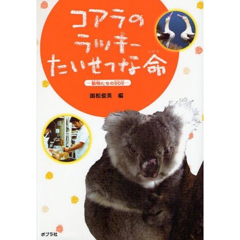 コアラのラッキーたいせつな命　動物たちのSOS　通販　LINEポイント最大0.5%GET　LINEショッピング