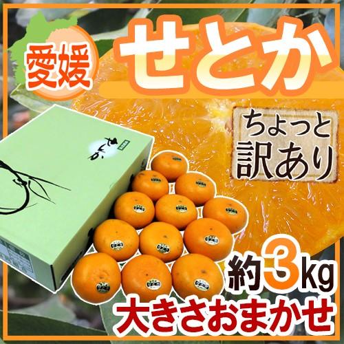 愛媛産 ”せとか” ちょっと訳あり 約3kg 大きさおまかせ 化粧箱 送料無料