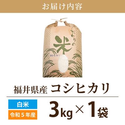 ふるさと納税 越前町 令和5年産　コシヒカリ(精米)　3kg