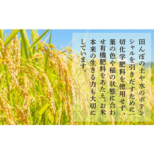 ふるさと納税 熊本県 多良木町 令和5年産 新米 多良木町産 こめたらぎ にこまる 精米 10kg ＜5kg×2袋＞ 【 令和5年産新米 米 10kg グランプリ受賞 白米 精米 …