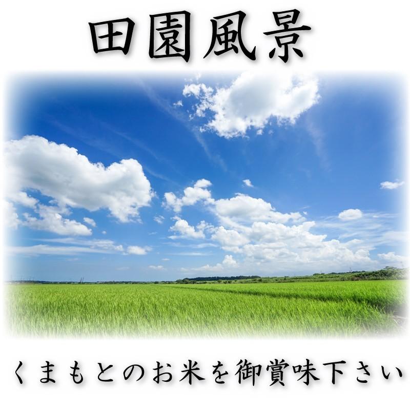 お米 米 5kg 白米 送料無料 無洗米 熊本県産 ひのひかり あすつく 新米 令和5年産 ヒノヒカリ 5kg1個 くまもとのお米 富田商店 とみた商店