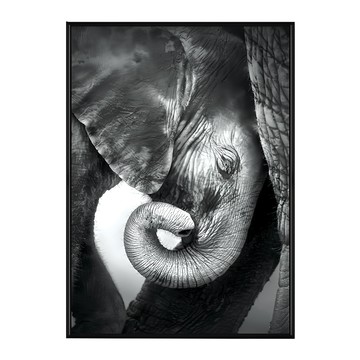 依偎 黑白大象牆面藝術  30 x 40cm  黑色