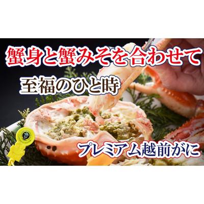 ふるさと納税 越前町 桐箱入り!一番蟹　越前国の主!越前がにの象徴 × 1杯 ≪浜茹で≫