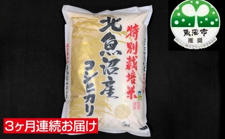 北魚沼産コシヒカリ（精米）5kg　3ヶ月連続お届け