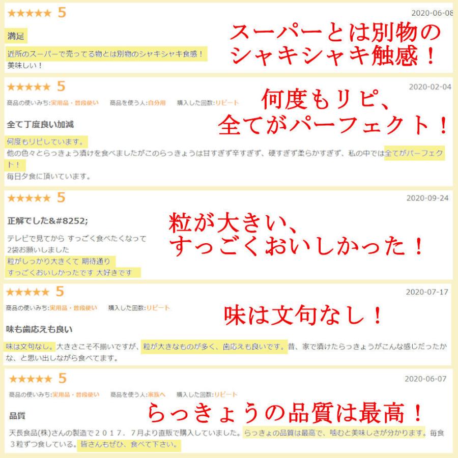 国産らっきょう漬け お試しセット 190g×2種 (甘酢漬け＆ピリ辛）無添加  低温熟成 送料無料 鳥取砂丘 ラッキョウ