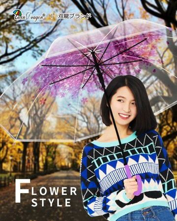 【雙龍牌】果凍透明質感~櫻花日系POE環保直傘A0557J