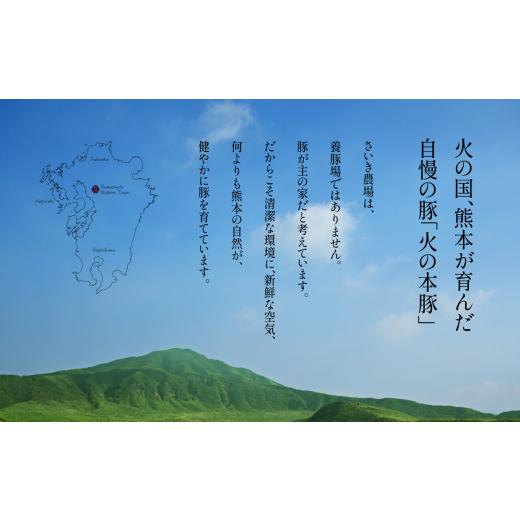 ふるさと納税 熊本県 和水町 火の本豚 詰め合わせセット 切り落とし550g しゃぶしゃぶ用ロース300g あらびきウインナー10本入 チョリソーウィンナー10本