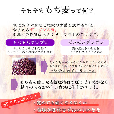 ダイシモチ 令和5年産 新麦 もち麦 2kg (2kg×1袋) 岡山県産 チャック付き 