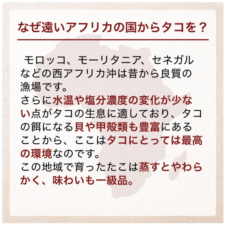 送料無料 蒸しタコ１匹入 真蛸 真たこ 蛸 真ダコ マダコ