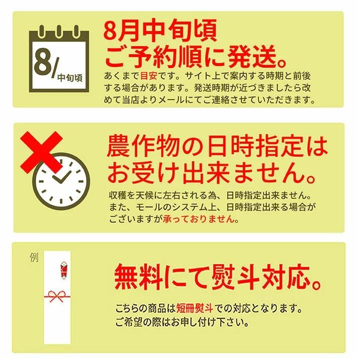  山形県産 白桃  黄桃 秀品 約3kg 7-13玉 詰め合わせ お供え 硬い桃 美晴 黄桃 クール便発送 送料無料 果物 フルーツ