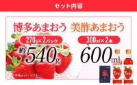 あまおういちご１箱（2パック）＆美酢あまおう2本セット （300ml×2本）アフター保証 いちご 博多あまおう JAグループ 2024年2月から順次 2024年先行予約受付 おすすめ 苺 イチゴ 大木町 JA福岡大城 不揃い フルーツ 果物 AG003