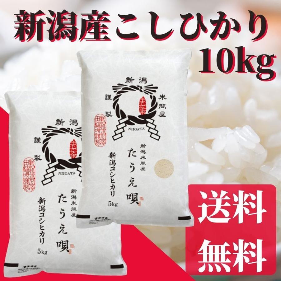 新米　令和5年　こしひかり　お米　10kg　送料無料　新潟産こしひかり　10kg（5kg×2）　新米　米　白米　お祝い　ギフト