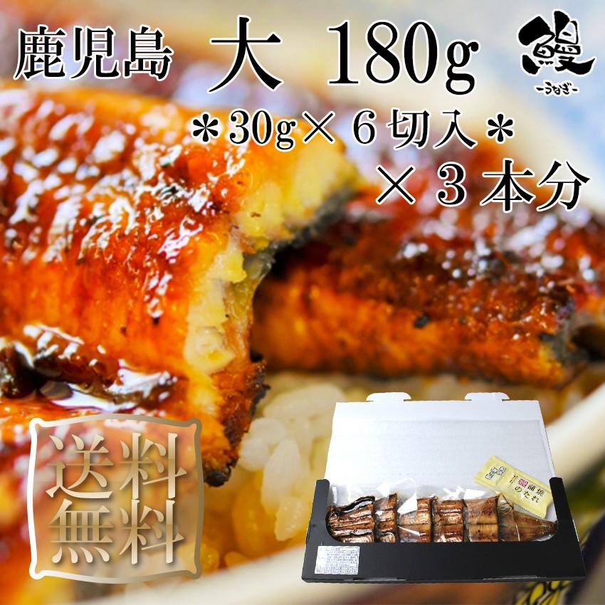 うなぎ蒲焼 6切カット 大1本180g×3本分 鹿児島産 御歳暮 ギフト プレゼント 鰻