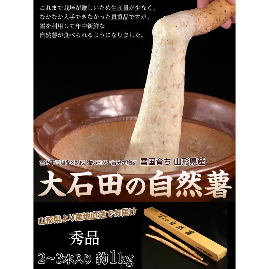 山形県産大石田 雪下 自然薯 じねんじょ 秀品 1キロ（2〜3本入り） 産地直送 とろろ ご飯 冷蔵 同梱不可 送料無料