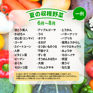 道の駅 竜王 かがみの里 旬の野菜セット 全6回