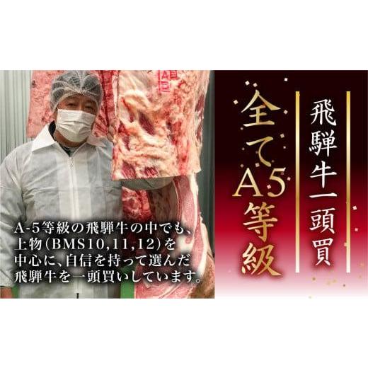 ふるさと納税 岐阜県 高山市 飛騨牛 5等級 カレー 5食セット 肉 レトルト 人気 飛騨高山 ながせ食品 TR3844