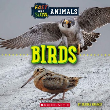 Fast and Slow: Birds / Scholastic出版社旗艦店