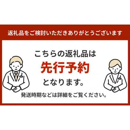 ふるさと納税 仲村農園の家庭用アップルマンゴー約2Kg  沖縄県うるま市