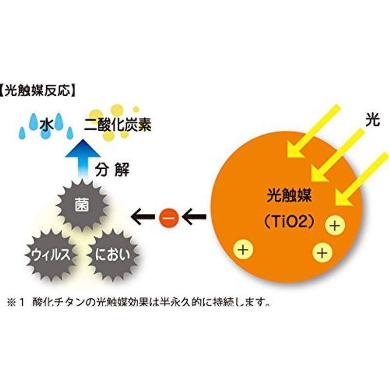 nedius 吸引式捕虫器 ブラック NMT-15A1JG-B