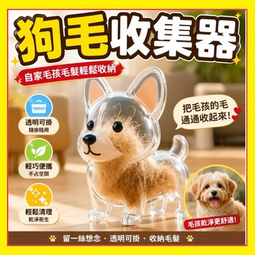 🔥爆款現貨🔥 透明狗毛收納盒吊飾 狗毛收集膠囊 狗毛扭蛋 寵物毛髮收集 狗毛收納 小狗毛髮收集瓶 狗毛收集0715