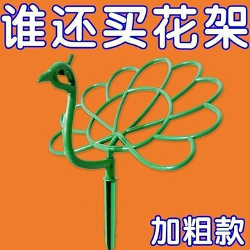 🔥臺灣出🔥孔雀太陽花架室內花架太陽花造型單層花架固定支撐架花卉支撐花器