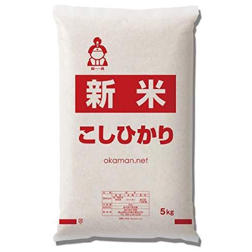 新米 令和3年産 5kg 高知県産コシヒカリ お米