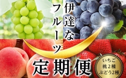 ＜2024年春から開始の定期便＞伊達なフルーツ定期便（いちご・もも2種・ぶどう2種）果物 フルーツ 苺 イチゴ 桃 モモ 葡萄 ブドウ 福島県 伊達市 F20C-484