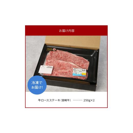 ふるさと納税 宮崎県 延岡市 宮崎牛 ロース ステーキ 250g×2 計500g　N0147-ZB117