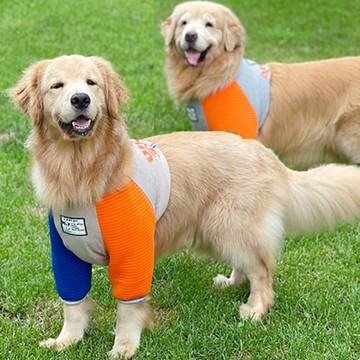 M.7中大型犬護肘衣防護衣立體印花撞色護肘金毛拉布拉多哈士奇