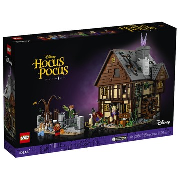 LEGO 21341 迪士尼《女巫也瘋狂》樂高 IDEAS系列【必買站】樂高盒組