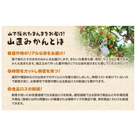 ふるさと納税 和歌山県 有田川町 みかん 山から直送 箱込 2.5kg 内容量約 2.3kg 鮮度優先ごろごろ規格 和歌山県産 産地直送 家庭用