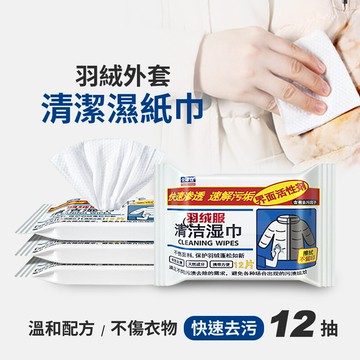 joeki羽絨外套清潔濕紙巾 外套 衣服 清潔 濕紙巾 一次性 擦拭巾 jj0180