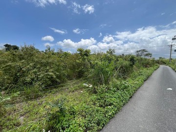 《專售》東大雙面路農地-急售出價很好談5F1445｜花蓮縣壽豐鄉吳全