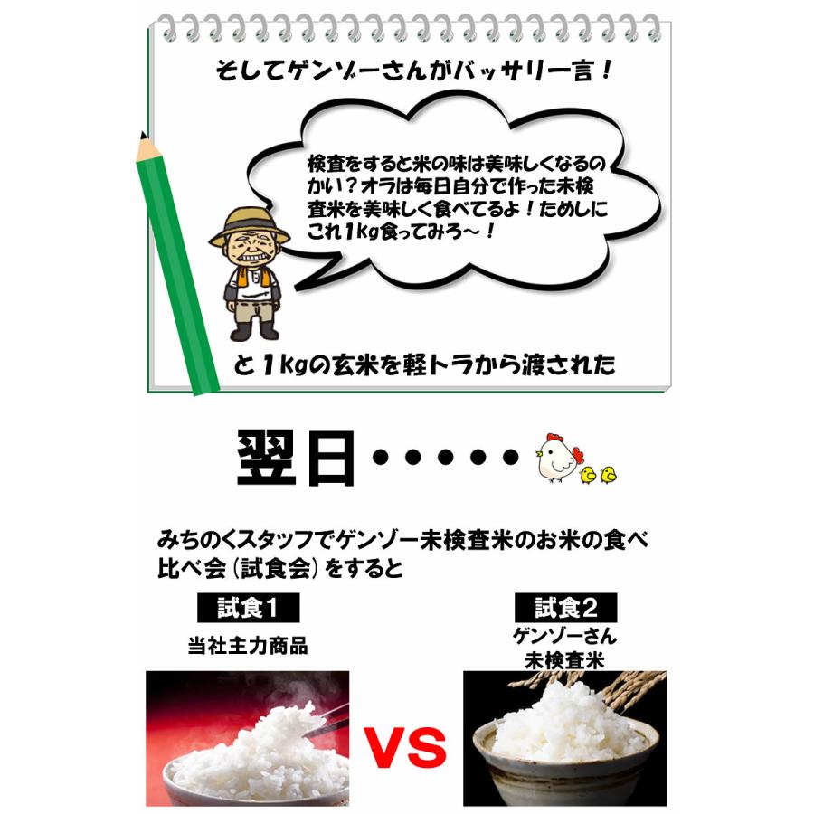 米 お米 10kg 令和5年産 ひとめぼれ5割 ふるさと御礼米 送料無料