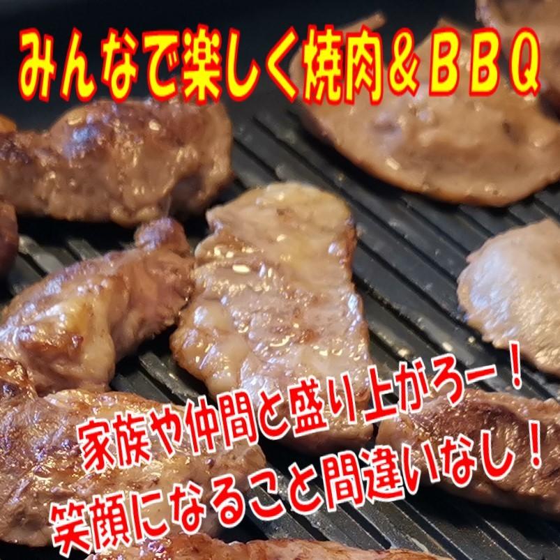 肉 牛タン バーベキュー 食材 牛肉 焼肉セット BBQ 肉 ギフト 食品ギフト セット 牛ハラミ牛カルビ 豚バラ 豚トロ 焼肉 3.5kg  8〜12人前