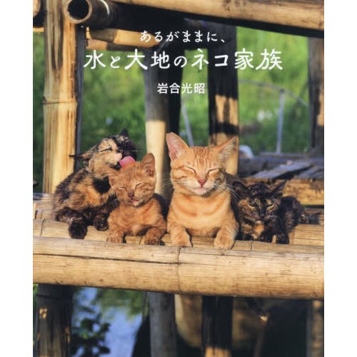 劇場版 岩合光昭の世界ネコ歩き あるがままに,水と大地のネコ家族